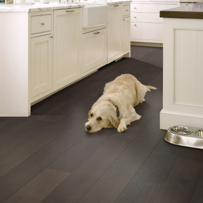 Bright kitchen with dark hardwood flooring and a golden retriever resting near a farmhouse sink and dog bowls.